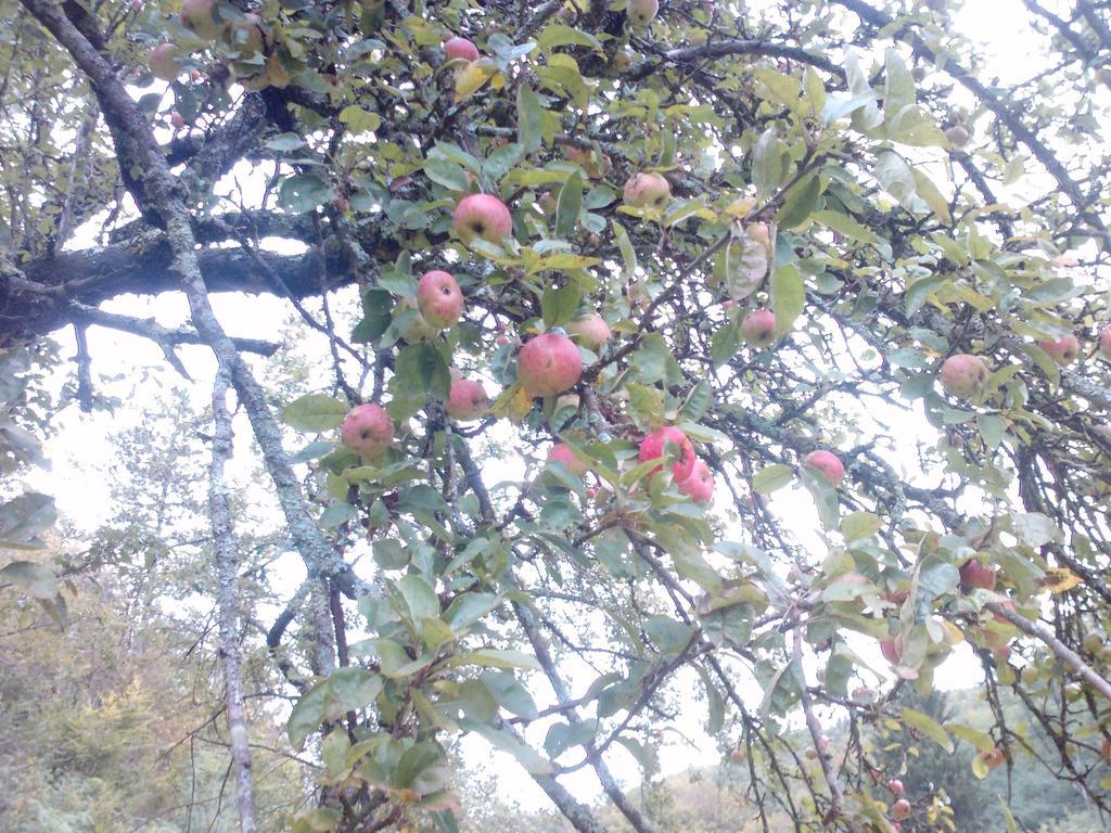 مبيت وإفطار Divača Osterija Na Planinci المظهر الخارجي الصورة