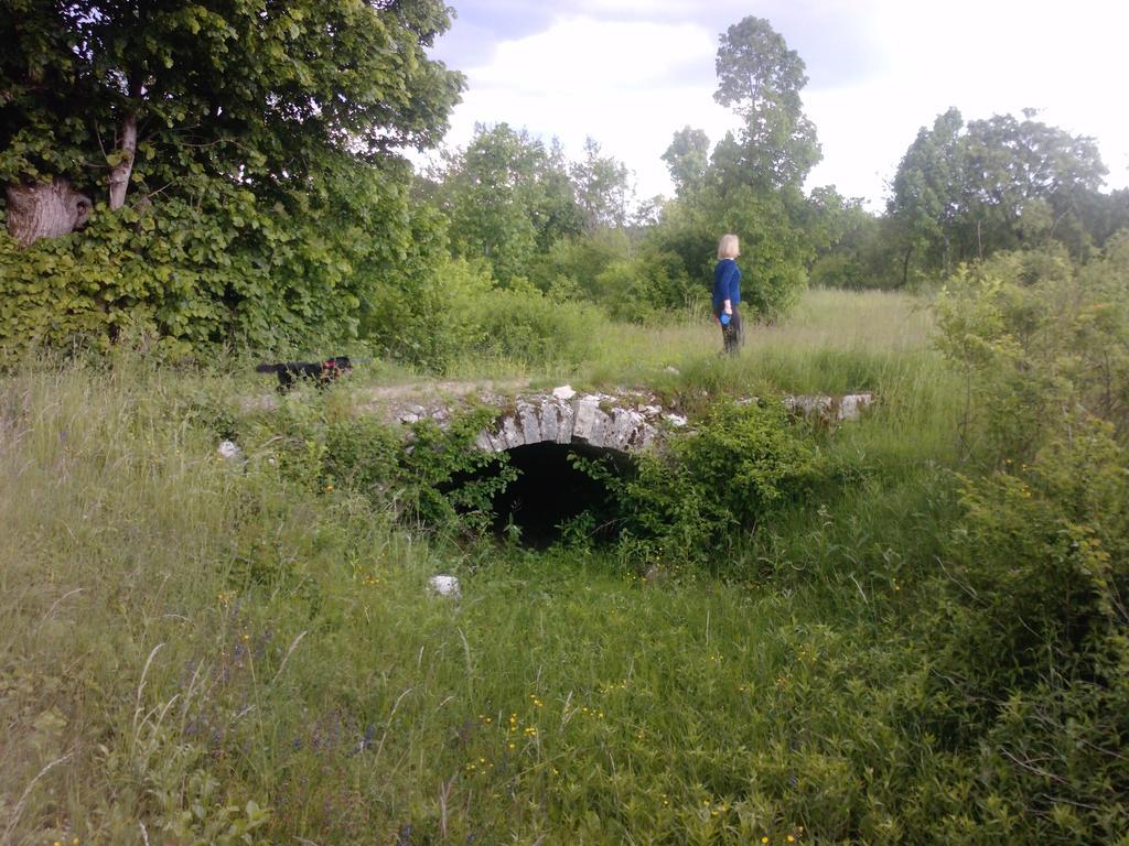 مبيت وإفطار Divača Osterija Na Planinci المظهر الخارجي الصورة