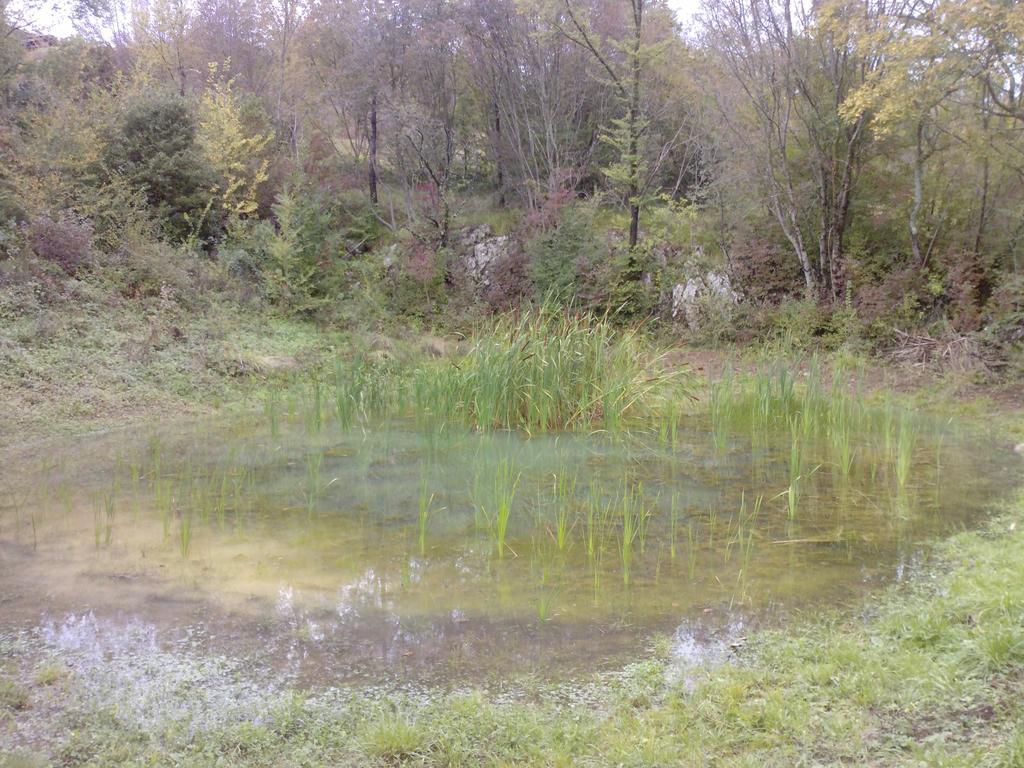مبيت وإفطار Divača Osterija Na Planinci المظهر الخارجي الصورة
